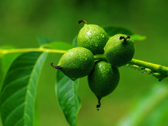 Reduc riscul unui infarct