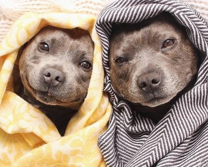 Atunci cand te simti bine in pielea ta