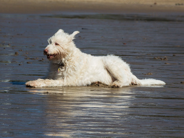 Ce poate fi mai placut?