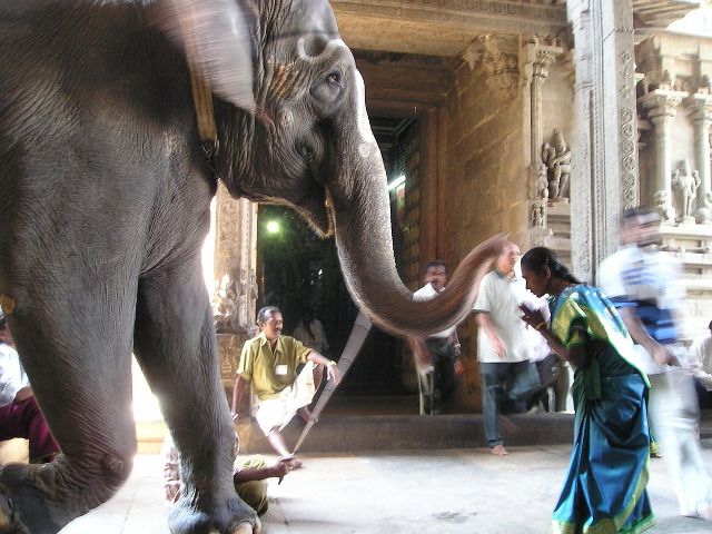 Flora si fauna unice