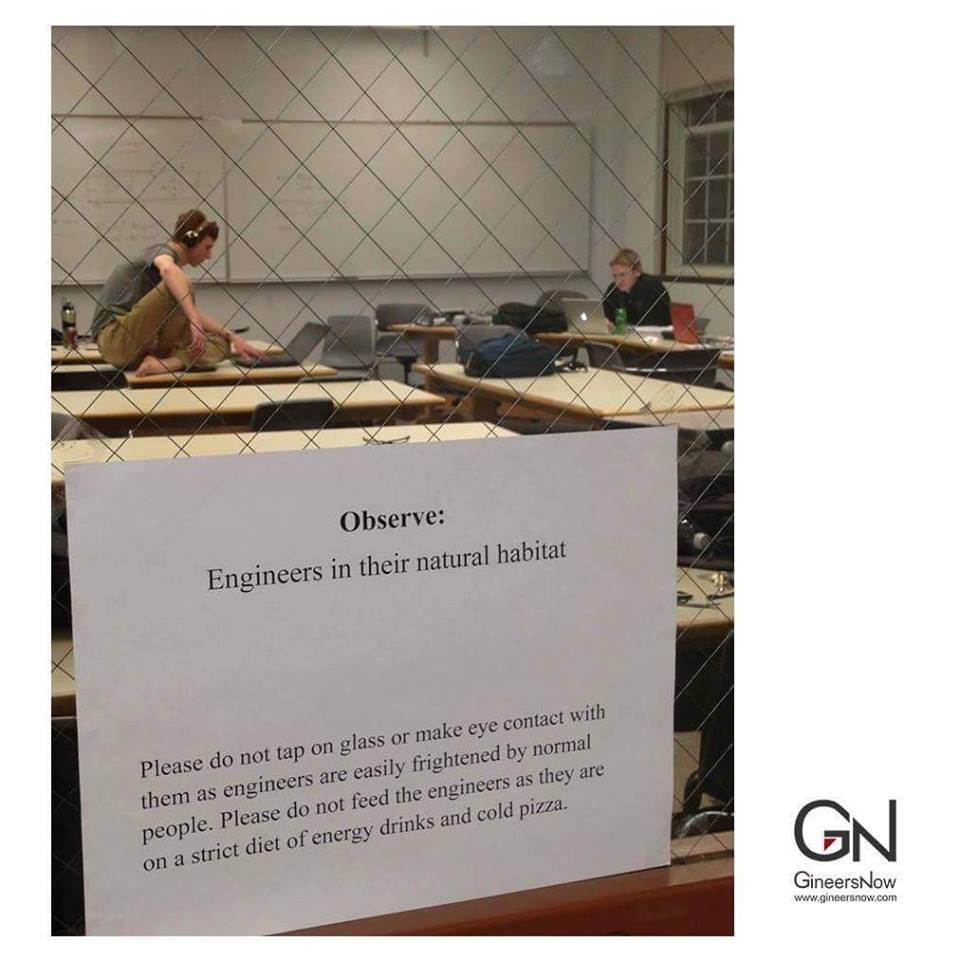 Ingineri in habitatul lor natural