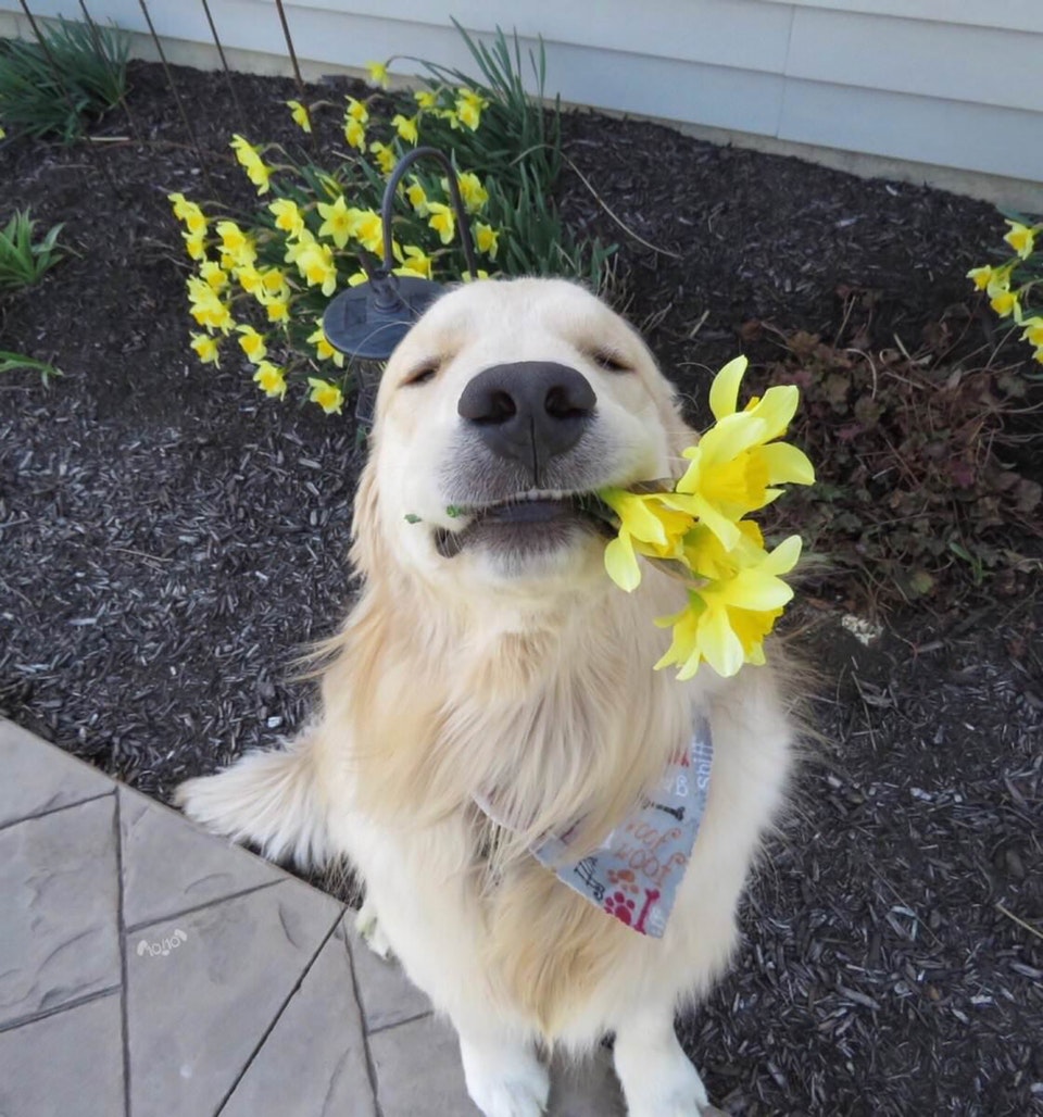 Un gest foarte frumos