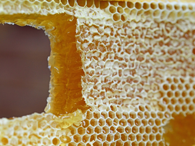 Ceara de albine