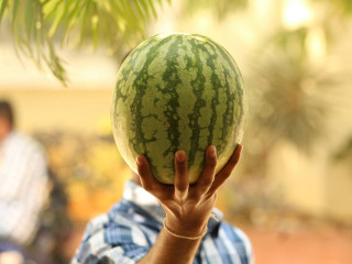 Marimea si greutatea