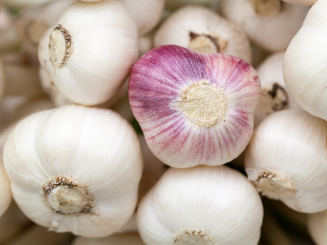 Utilizeaza usturoi pentru a trata urechea inotatorului