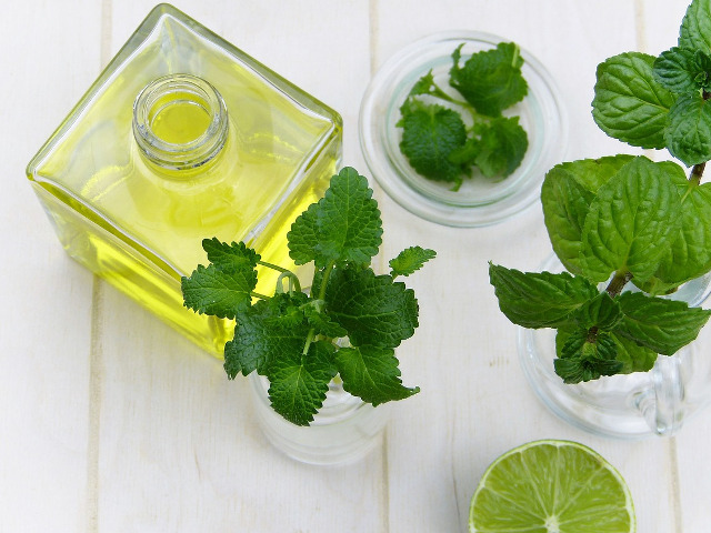 Utilizeaza uleiul de menta pentru intepaturile de insecte