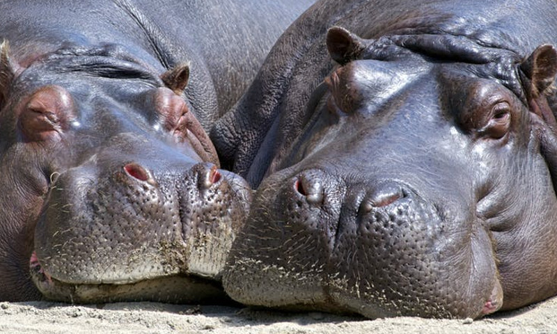 Atunci cand starea de bine se citeste pe chipul tau