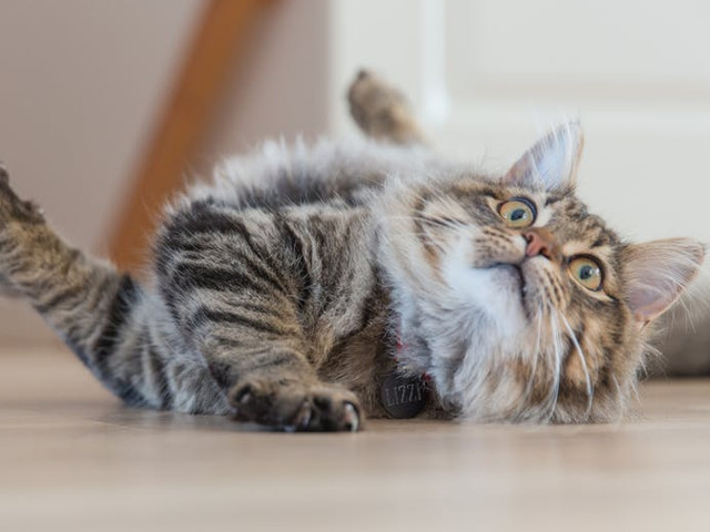 Cand esti luat prin surprindere