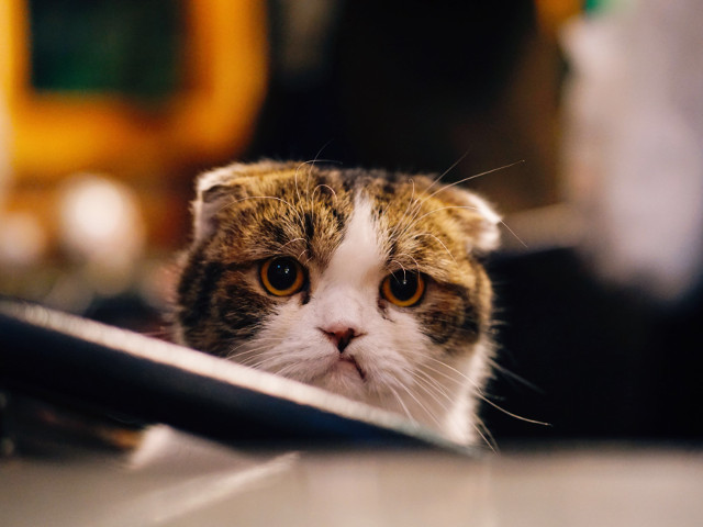 Cand stii ca ai facut ceva gresit