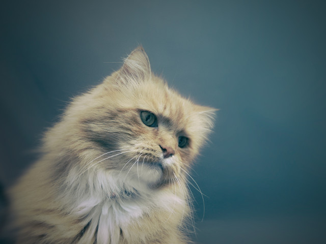 Motivul supararii ei este unul foarte mare