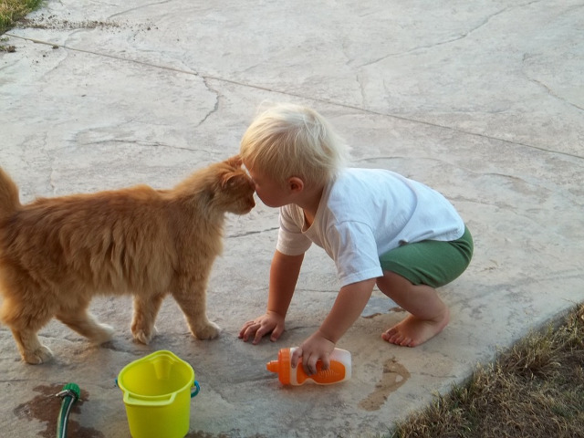 ...care nu poate fi descrisa in cuvinte...