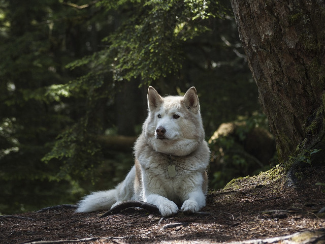 Mediu de viata sigur si confortabil
