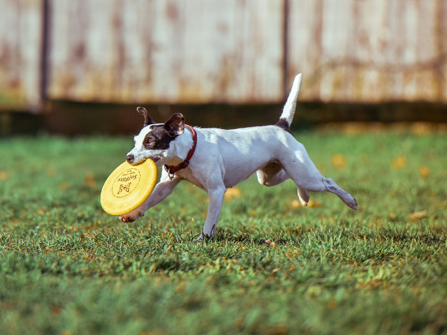 Vor sa fie scosi afara pentru exercitii