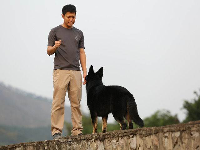 Au nevoie de limite, la fel ca si copiii