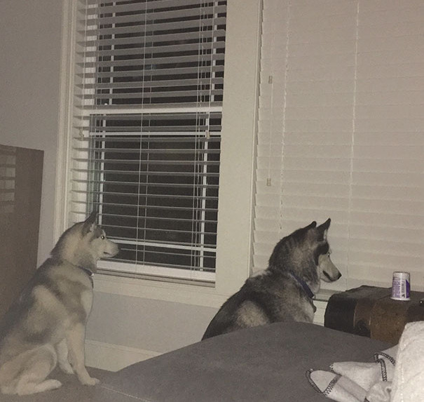 Fiecare se uita pe fereastra lui