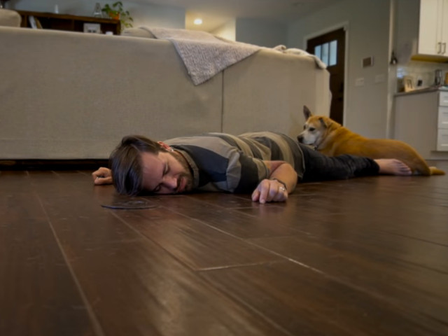 Cainele, cel mai bun prieten al omului?