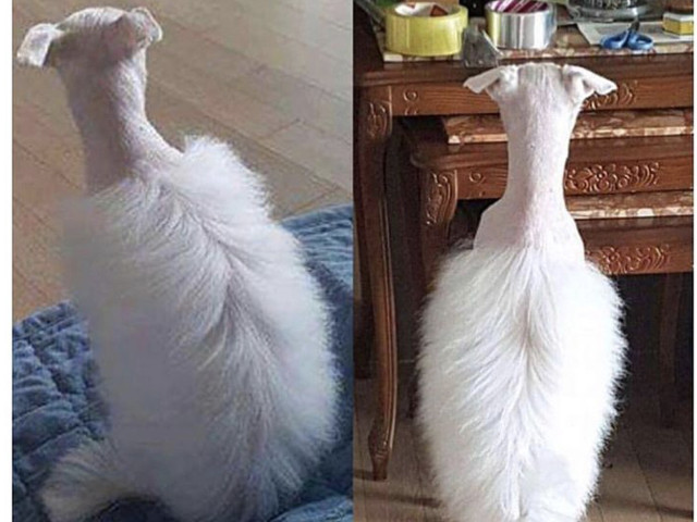 Cand ramai fara "inspiratie"