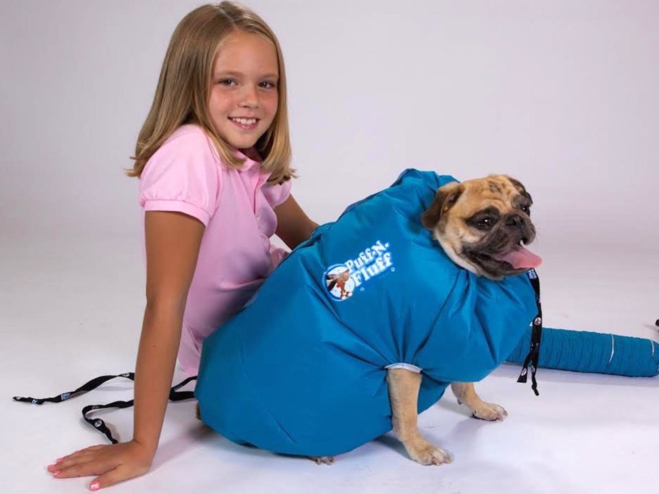 Uscator pentru caini