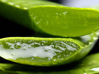 Ceai verde si aloe vera