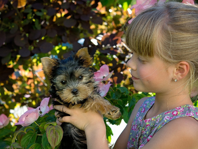 Nu ii dai cainelui suficient de multa atentie