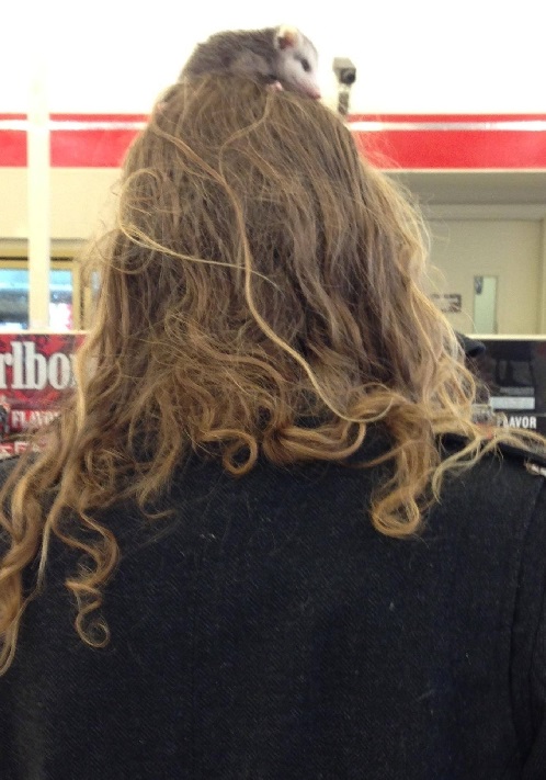 Cand credeai ca nimic nu te mai poate surprinde