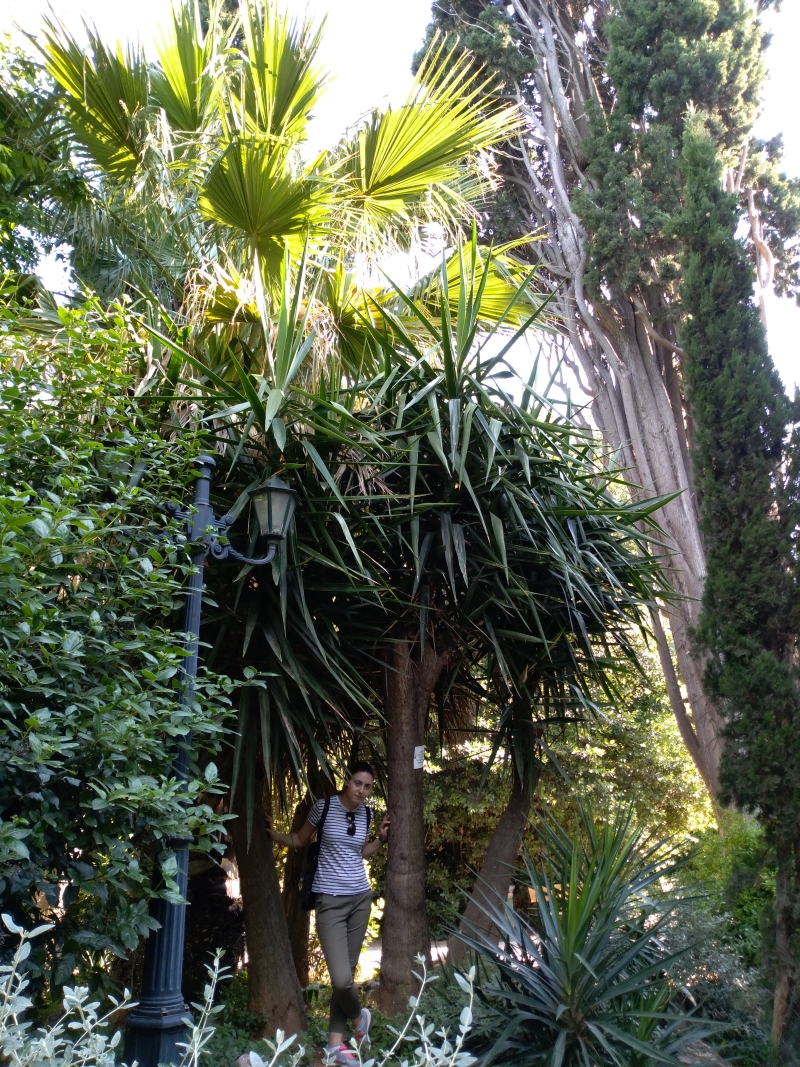 Gradinile Nationale din Atena, o oaza de relaxare