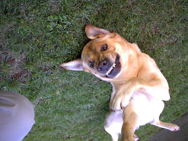 In ciuda zambetului afisat, fotografia nu este tocmai reusita