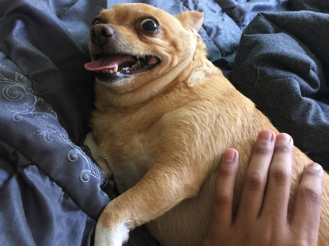 Fotografiat in momentul nepotrivit