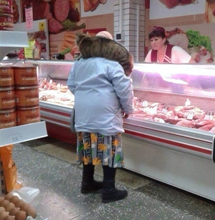 Cu pisica la macelarie