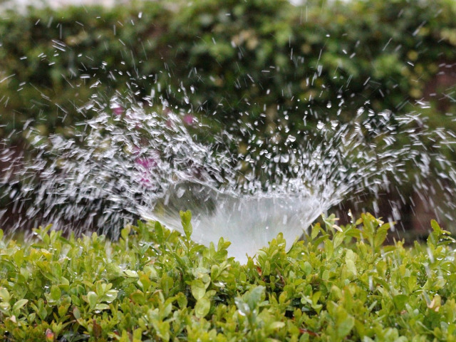 Alearga pe langa o stropitoare