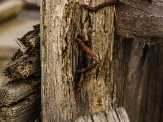 Inaltura aschiile de lemn