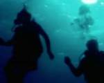 Teroare in larg: Open Water (2003)