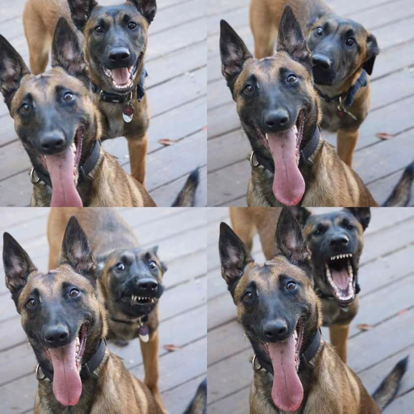 Cand cineva din spate fura toata atentia