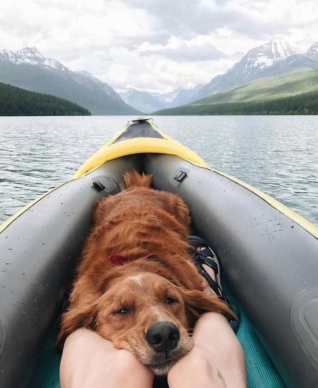 Canoe nu este doar pentru oameni