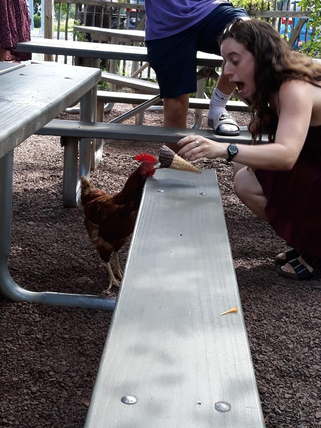 Asta inseamna sa fii pe faza