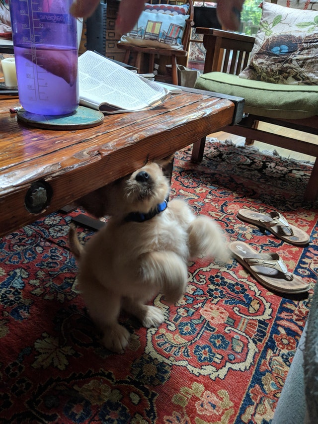 Nu a fost cea mai buna miscare a lui