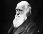 Broasca testoasa Harriet si Charles Darwin