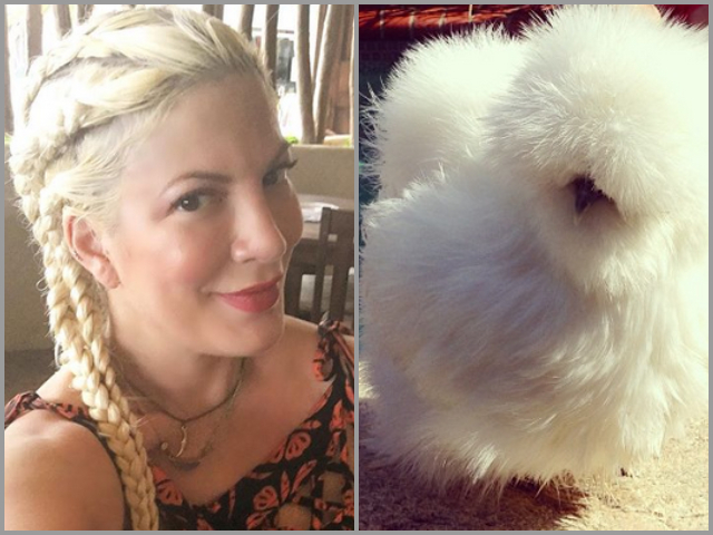 Tori Spelling -  gaina