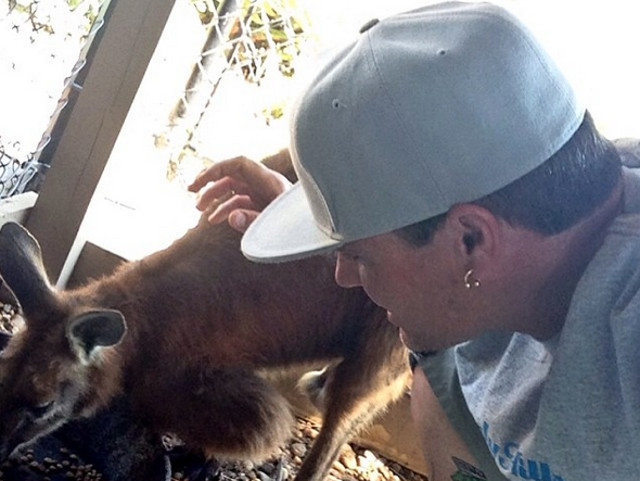 Vanilla Ice – cangur