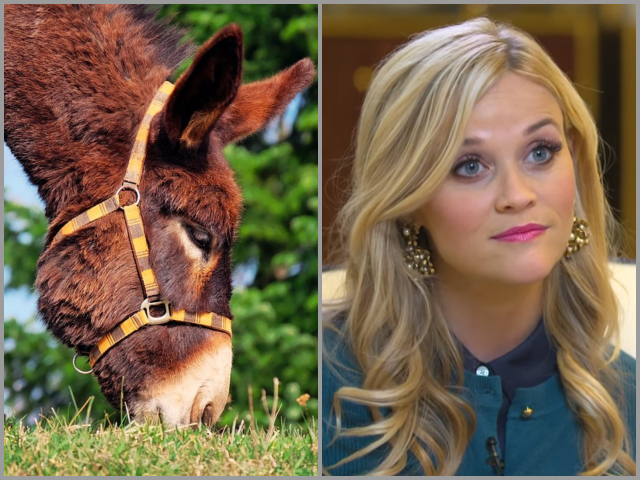 Reese Witherspoon – magari