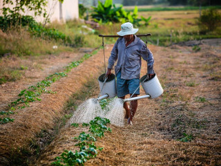 Ce nu au voie barbatii sa faca