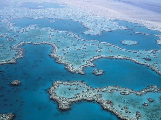 Snorkeling in Marea Bariera de Corali