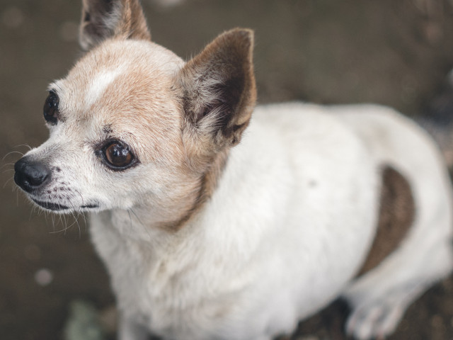 Cum sa nu iti doresti sa il protejezi?
