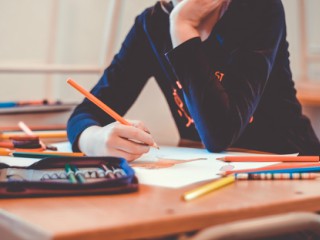 Dezinteres pentru studiu sau job