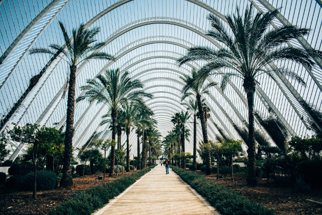 Iti cultivi dorinta de a cunoaste cat mai multe