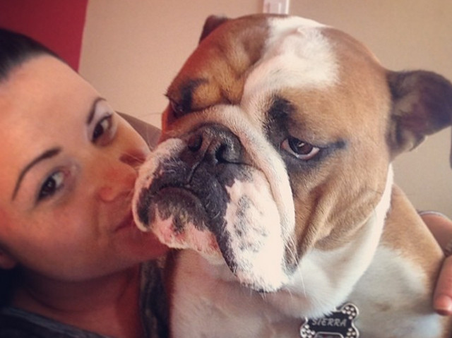 Nu a ales un moment bun pentru a face poza