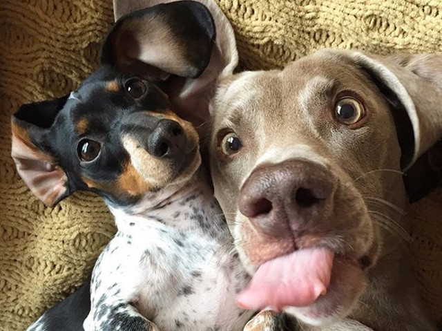 Doi prieteni isi fac un selfie