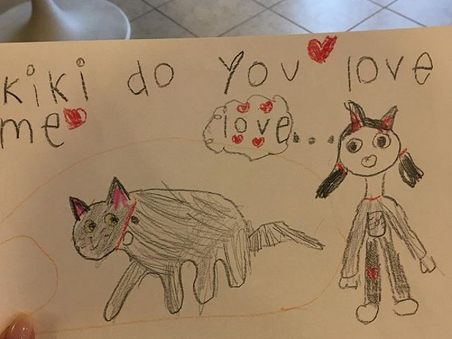 Din dragoste pentru pisici