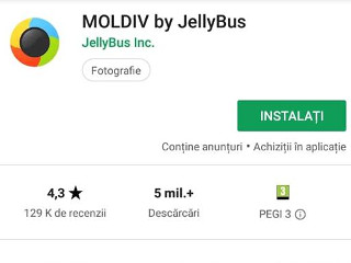 Moldiv