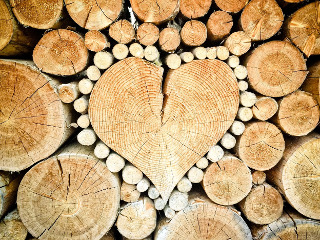 5 ani: nunta de lemn